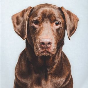 Meet your Posher, Mallory